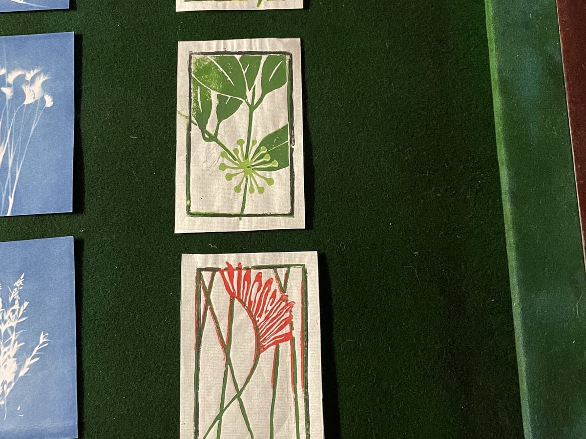 Three botanical lino prints laid out on green baize