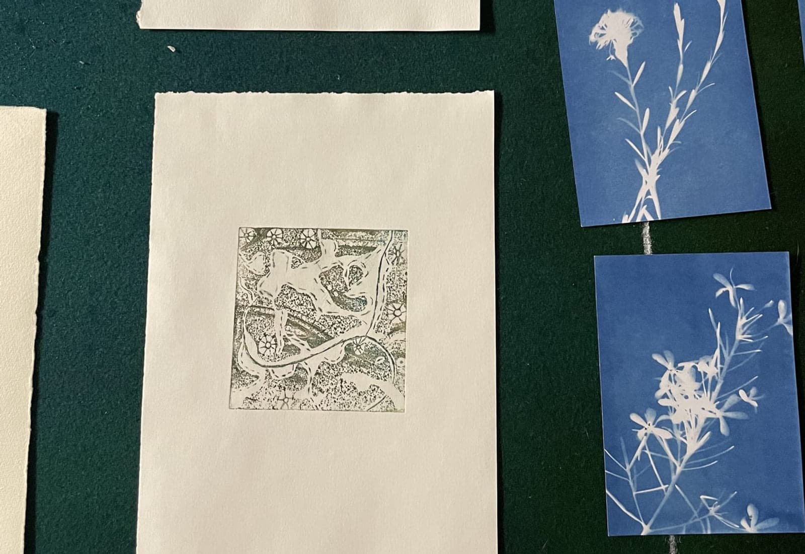 Prints and cyanotypes laid out together on green baize